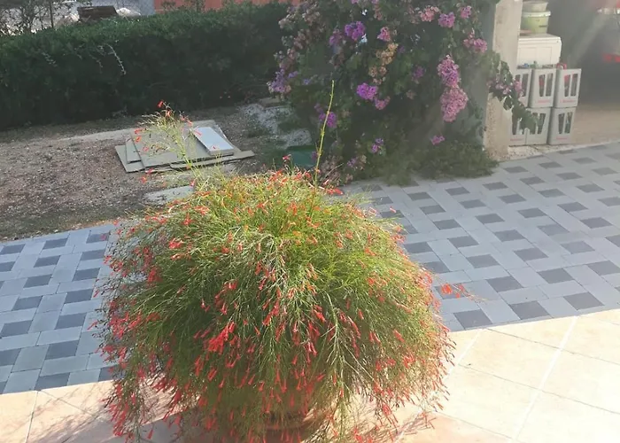 Apartment Remini Grebastica